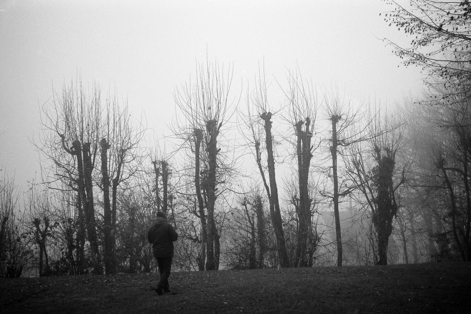5 Cadres... Dans le brouillard avec un film Agfa Optima I et NoColorStudio No. 10 (Format 35mm / EI 100 / Agfa Color-Agnar f / 2.8/ 45mm) - par Olaf