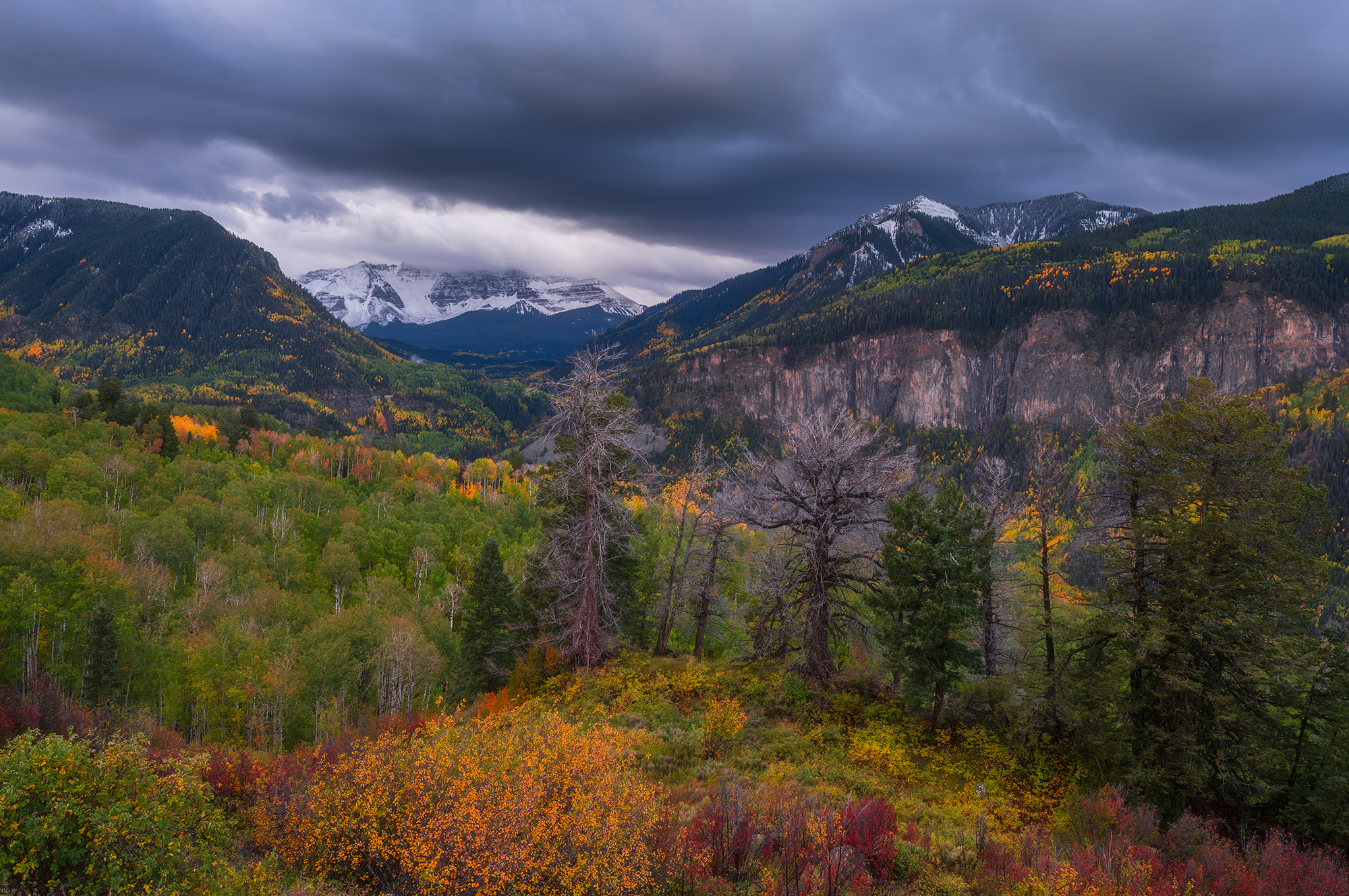 , Photographie de paysage d’automne avec les objectifs SIGMA 20 mm et 24 mm F1.4 DG DN Art
